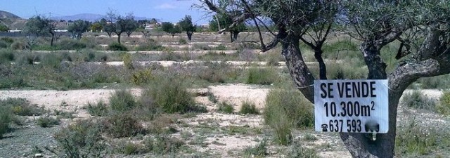 Más de 25 denuncias contra ayuntamientos por cobrar el IBI urbano a terrenos rústicos