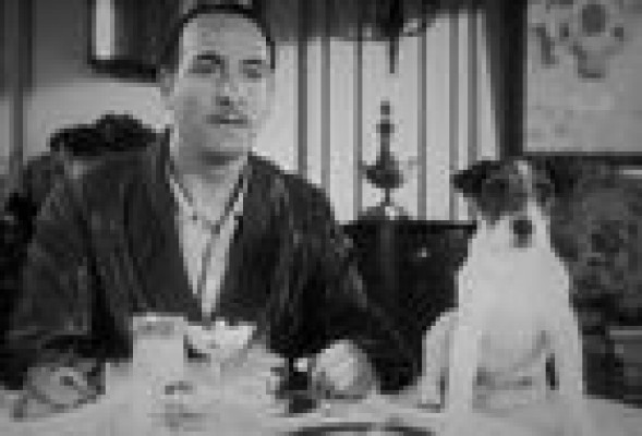 Uggie, el perro de 'The Artist', muere tras una larga enfermedad