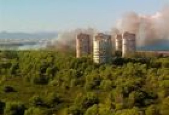 Estabilizado el incendio en El Saler