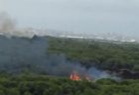 Un rebrote de un fuego anterior causa un nuevo incendio en el Saler