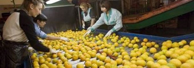 Las exportaciones valencianas mantienen su crecimiento por encima del 10%