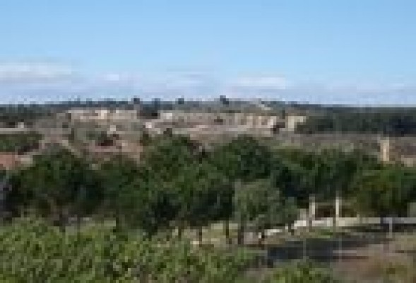 Paterna cierra el proyecto de la Zona Franca porque 