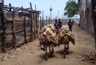 #CRÓNICASDEÁFRICA Los burros también lloran