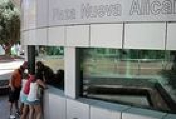 Alicante quiere abrir el acuario de la plaza Nueva en dos meses