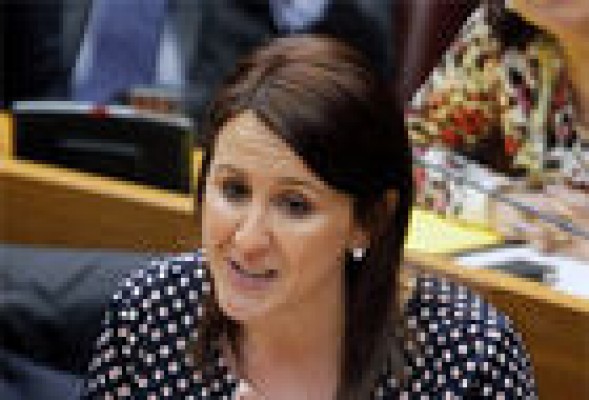 El PPCV pide al Consell 