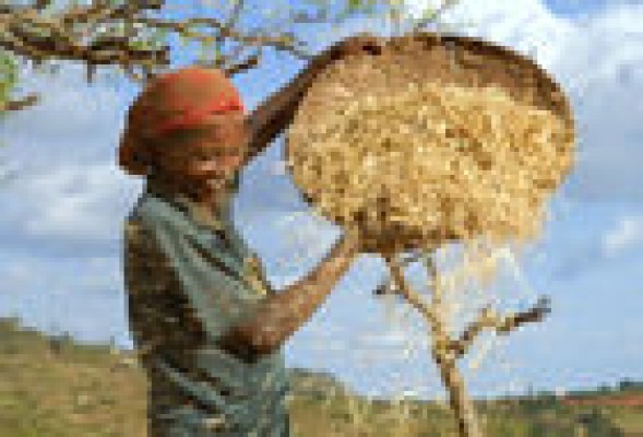 #CRÓNICASDEÁFRICA Adiós al verano