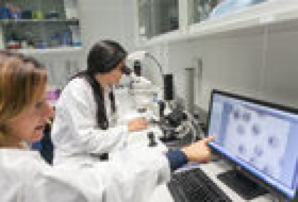 Neol Bio, filial de la cotizada del MAB, presenta una nueva patente