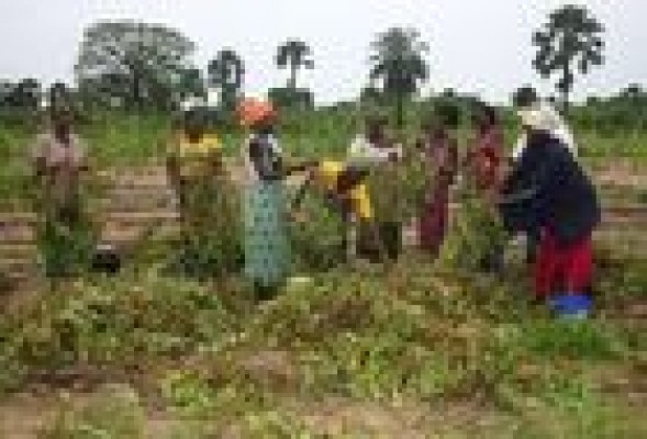 Boluda se incorpora al patronato de la Fundación Mujeres por África