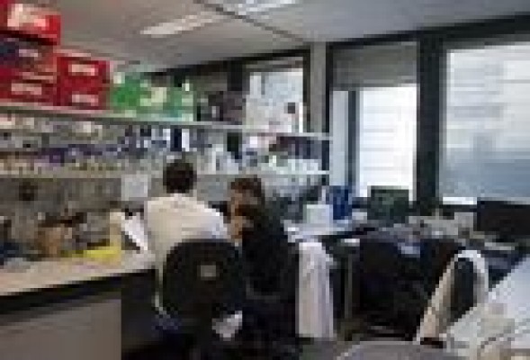 Bionaturis (MAB) entra en pérdidas en el primer semestre del año