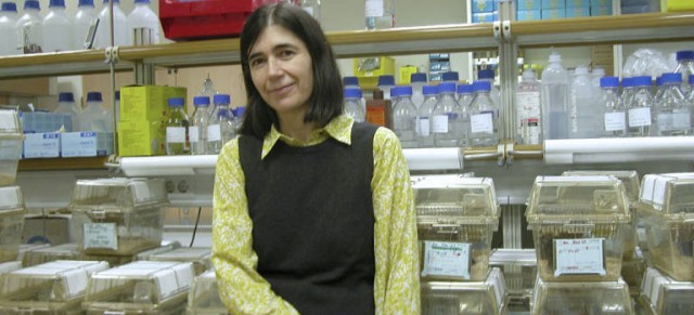 María Blasco, una vida dedicada al estudio de los telómeros, el cáncer y el envejecimiento