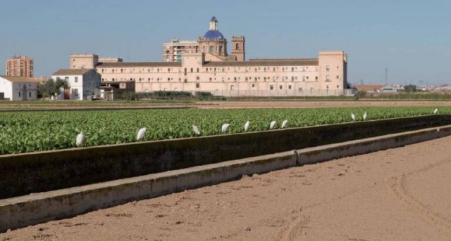 Aprobada la exposición pública del plan especial para San Miguel de los Reyes, dirigido a la 