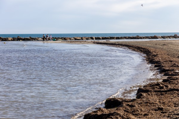 Costas aborda el 'rescate' del Cocó en Alicante con un nuevo espigón para ganar ancho de playa