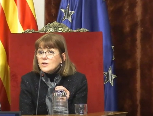 El PSOE de Elche registra un pleno extraordinario para reprobar a la portavoz de Vox 