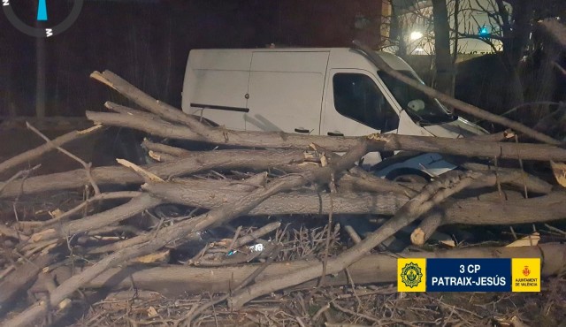 El fuerte viento provoca 70 intervenciones por daños en València