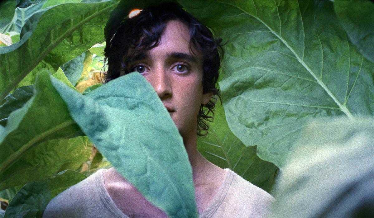 'Lazzaro feliz': crónica de un niño santo