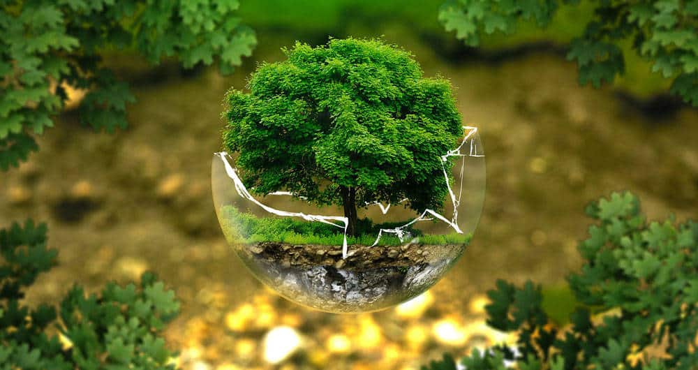 Los españoles están más alarmados por el cambio climático que el conjunto de los europeos