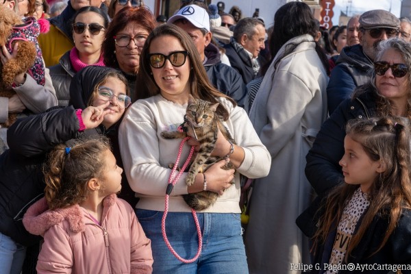 Patas, plumas y bendiciones: San Antón celebra su fiesta en Cartagena (Fotos: Ayuntamiento de Cartagena)