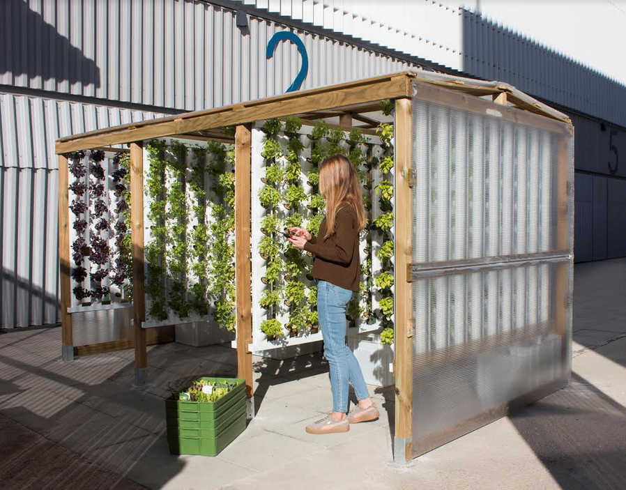 Optimus Garden, la revolución 'verde' del cultivo urbano en las grandes ciudades