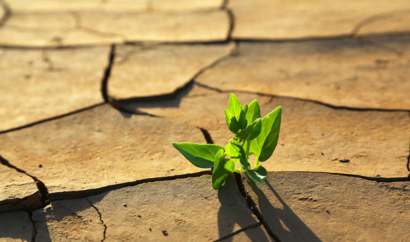 Mapfre evaluará el impacto del cambio climático junto a la ONU