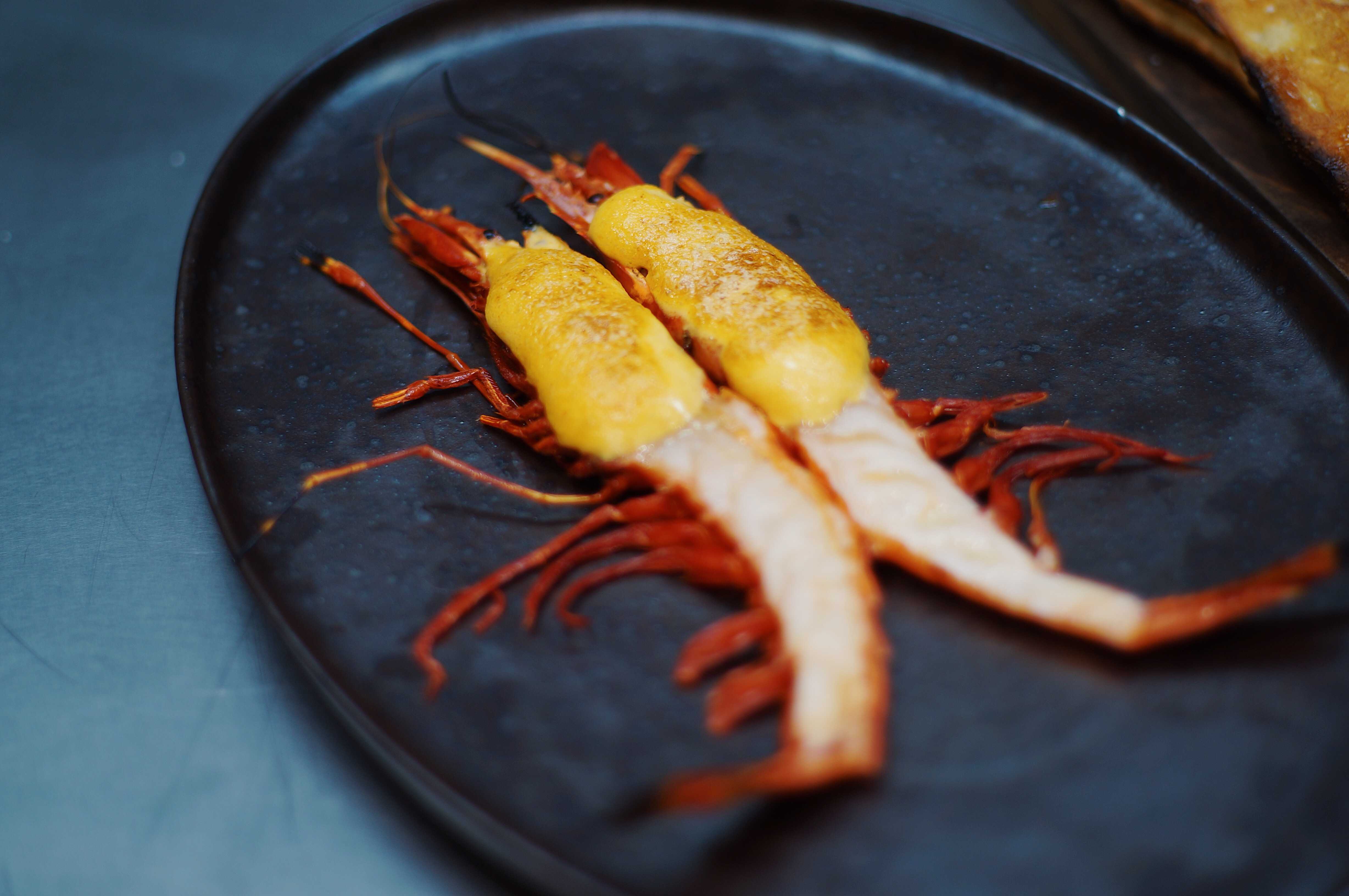 Fotografía de Jesús Terrés - 