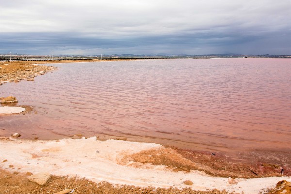 La sal de la tierra