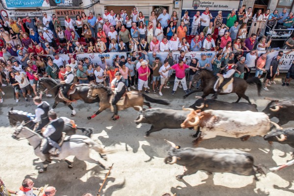 Segorbe celebra de forma limpia y sin incidentes la cuarta Entrada de Toros y Caballos (Fotos: Isaac Ferrera y Salvador Moragón)