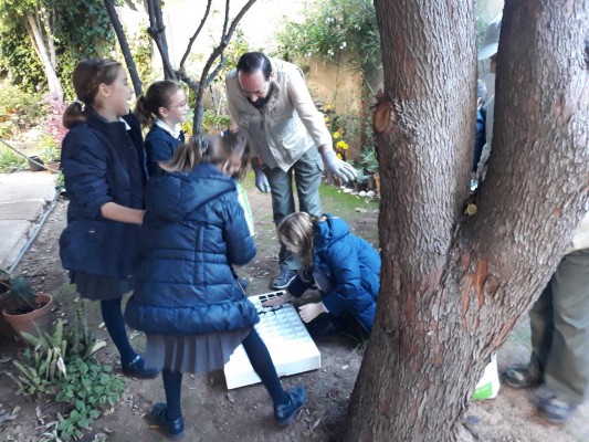 Cerca de 300 niños de Vila-real se suman al Mes de la Sostenibilidad para tener su huerto escolar