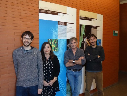 Descubren qué genes permiten adaptarse a fluctuaciones ambientales a los rotíferos