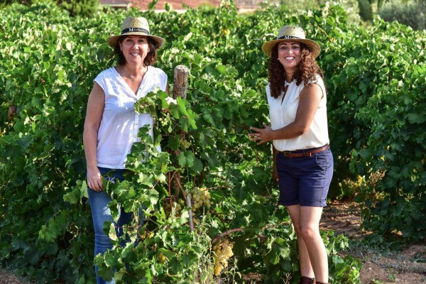 M de Alejandría lleva la innovación a la agricultura