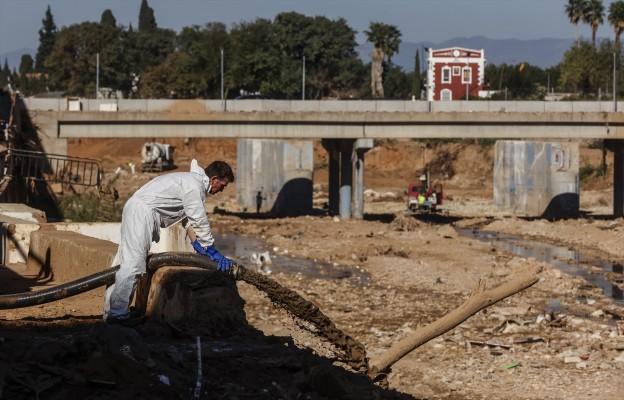 Estimada Constitució