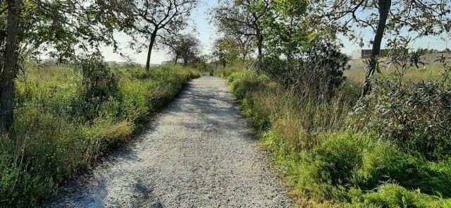 La Asociación de Municipios del Parque del Túria propone una mesa técnica para su recuperación