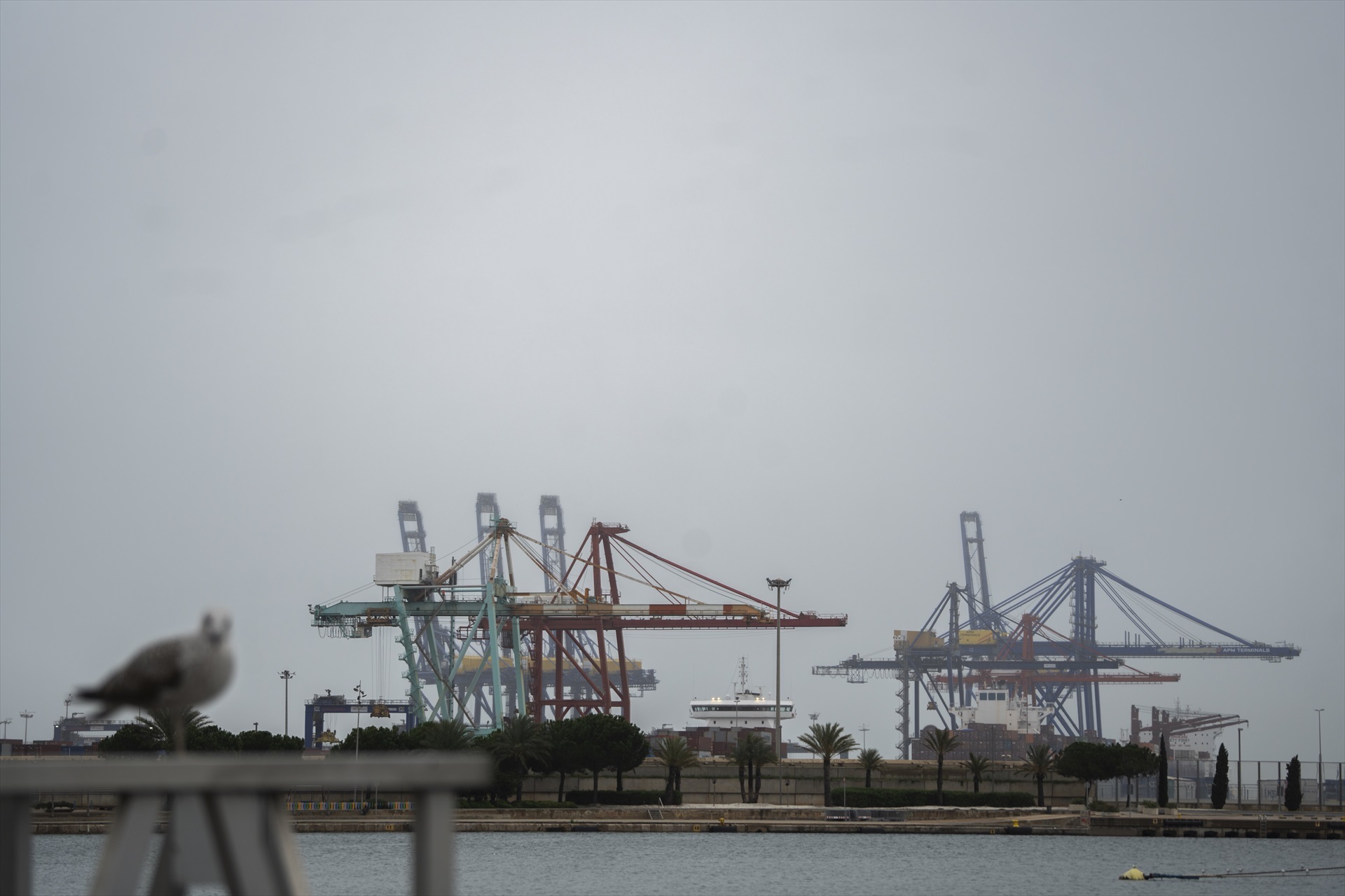 Foto: JORGE GIL/EP - 