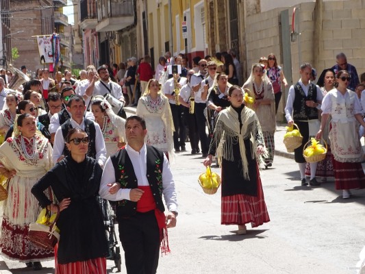 Yecla celebra las Fiestas de San Isidro: imágenes de la procesión y la ofrenda  (Fotos: Ayto. Yecla)