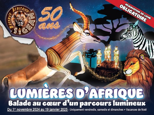 Los mercados navideños más bonitos del sur de Francia