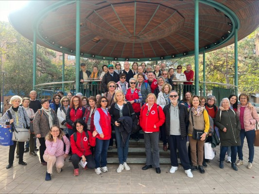 Castelló desplaça a 45 voluntaris sènior per a donar suport emocional als majors d'Aldaia
