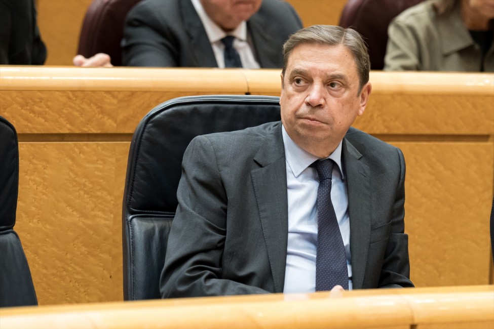 Foto: DIEGO RADAMÉS/EP - 