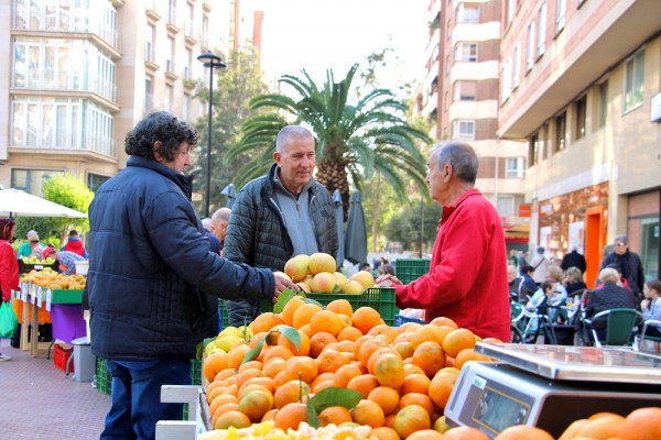 El Mercat de la Taronja de Castelló consolida las naranjas locales con más de 20 puestos de venta

