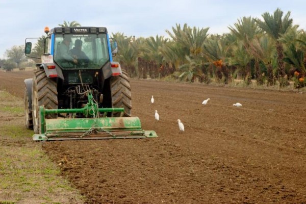 Agricultura destina 4 millones de euros a 55 municipios para la mejora de caminos rurales
