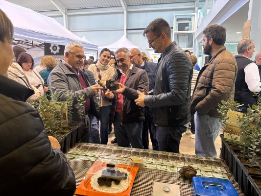 El Consell estudia que el suelo forestal pueda ser agrícola temporal para cultivo de trufa