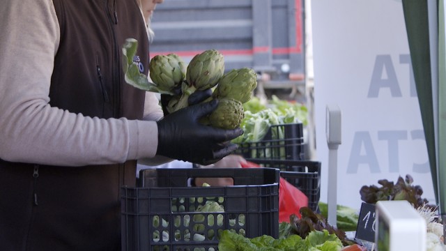 Agricultura destina 230.000 euros en ayudas para jornadas de productos de 