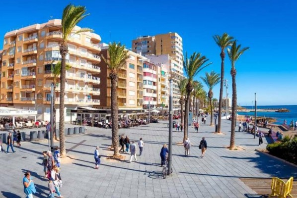 Torrevieja aprueba el convenio con la EVHA para la gestión de parcelas para construir viviendas de VPP