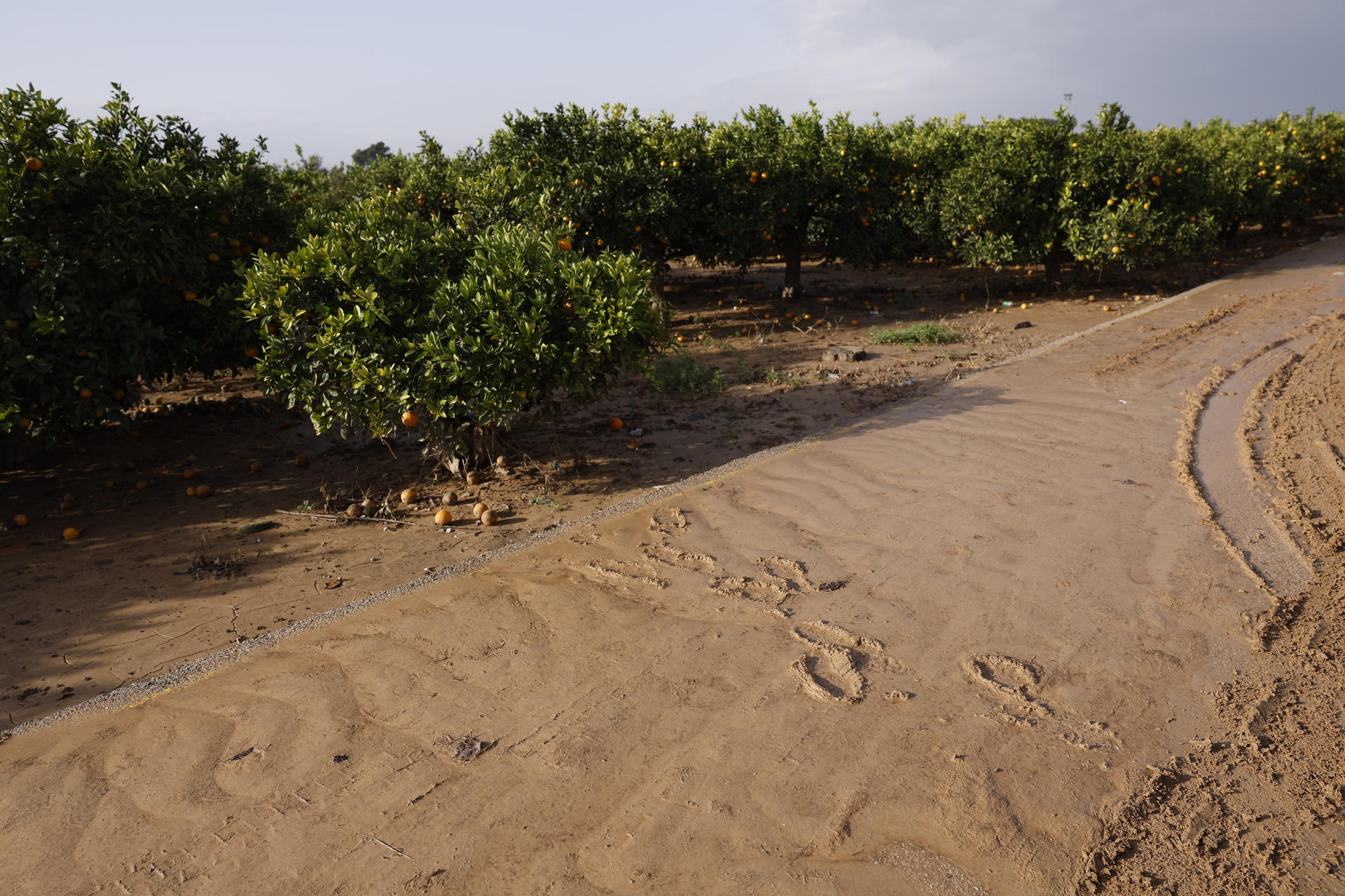 Foto: EFE/VILLAR LÓPEZ - 