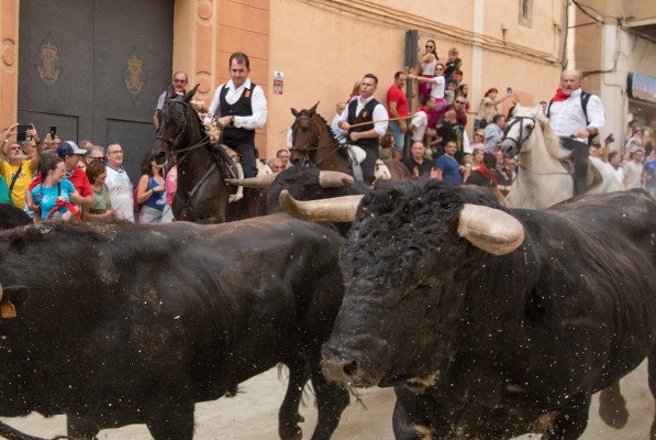 Tercera entrada de Toros y Caballos de Segorbe (Fotos: Ayuntamiento de Segorbe)