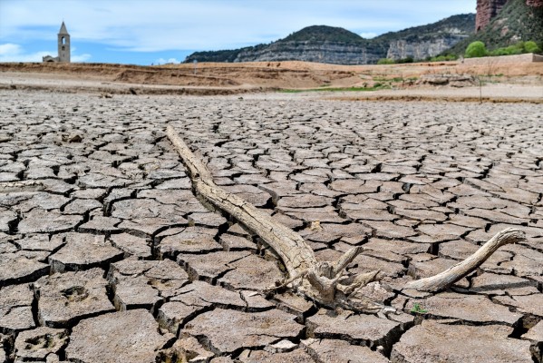 El cambio climático reducirá el rendimiento de los cultivos, según un informe codirigido por CSIC-UPV