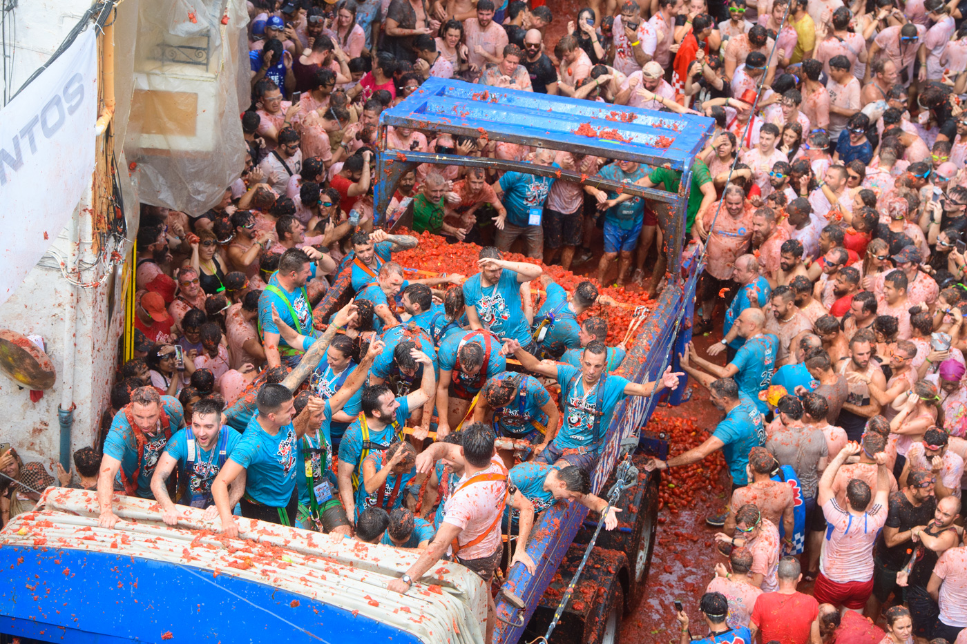 Una empresa de Badajoz suministrará los tomates de La Tomatina 2025 por 54.192 euros