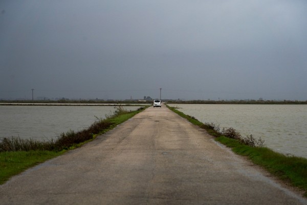 L'Albufera, víctima del hormigón: ecologistas piden proteger el suelo natural tras la Dana