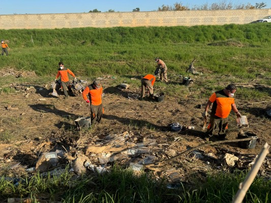 La Generalitat monitorizará en tiempo real l'Albufera ante episodios climáticos adversos
