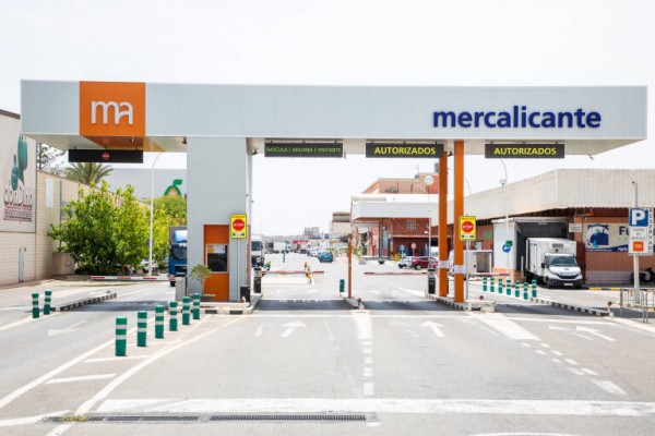 Mercalicante se avanza a la ampliación y persiste en sumar inquilinos con concursos para 4 naves