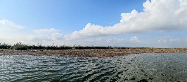 Expertos subrayan el papel de los humedales ante inundaciones: 