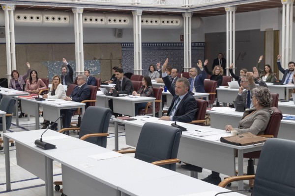 La Asamblea aprueba por separado dos mociones de PP y PSOE contra la violencia de género